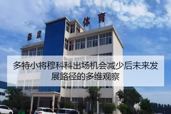 多特小将穆科科出场机会减少后未来发展路径的多维观察