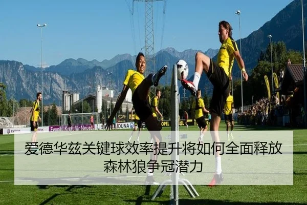 爱德华兹关键球效率提升将如何全面释放森林狼争冠潜力