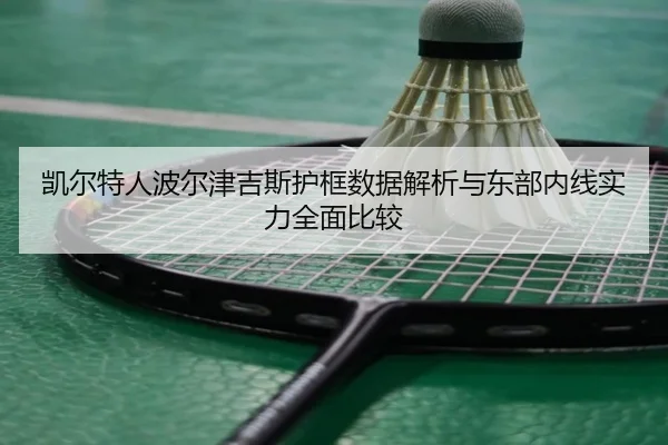 凯尔特人波尔津吉斯护框数据解析与东部内线实力全面比较